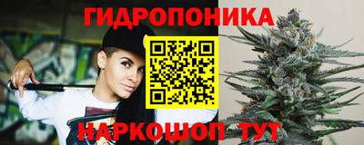 эйфоретик Гусь-Хрустальный