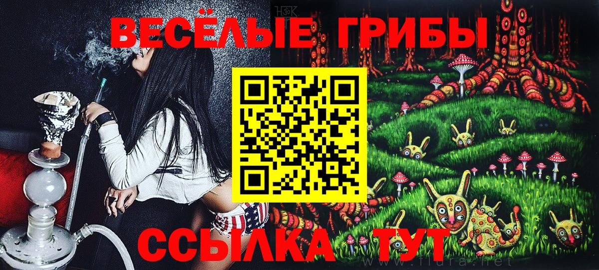 Новоалександровск  Галлюциногенные грибы ЛСД  Галлюциногенные грибы MAGIC MUSHROOMS  Вход с VPN 